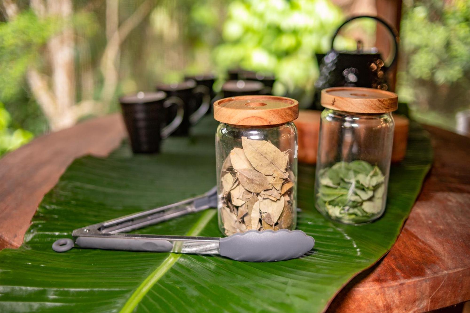 Awaken Amazonian Healing Resort All Inclusive Iquitos Luaran gambar