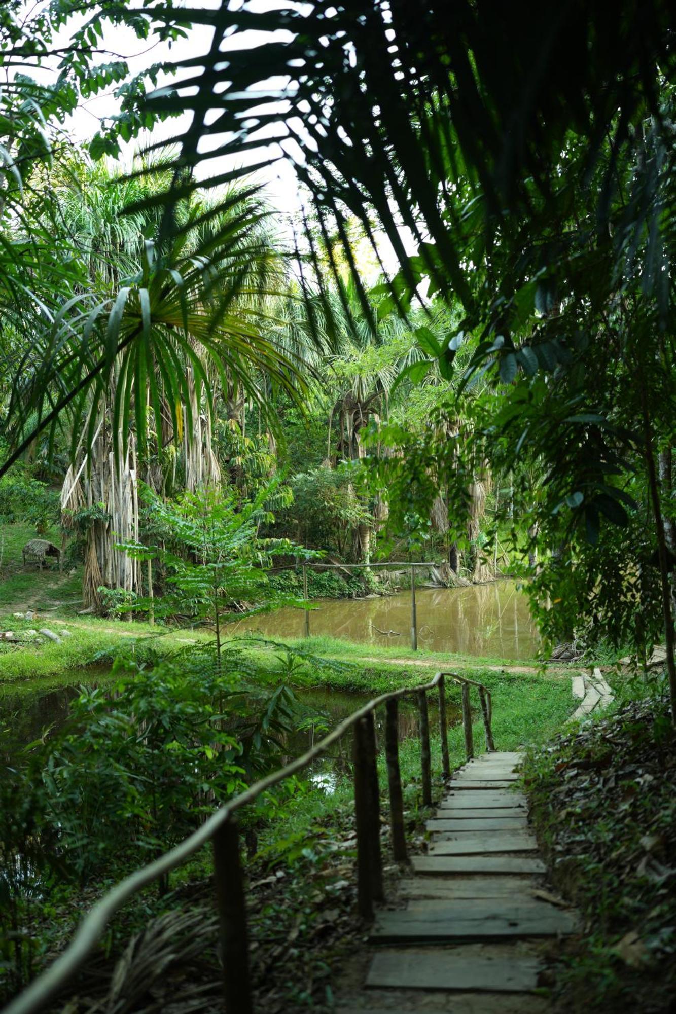 Awaken Amazonian Healing Resort All Inclusive Iquitos Luaran gambar